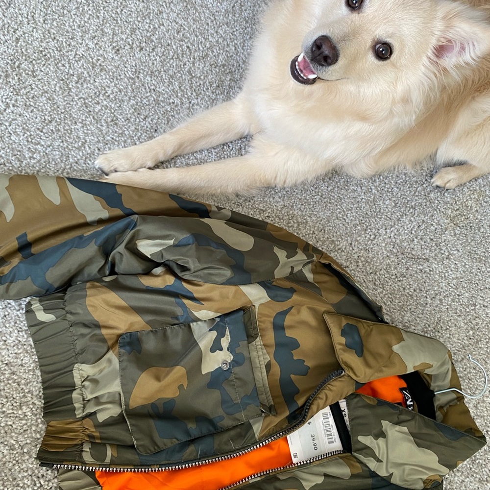 Never worn jacket - Picture 4 of 4